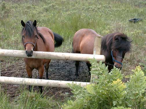 An Glasin Bed and Breakfast ring of kerry