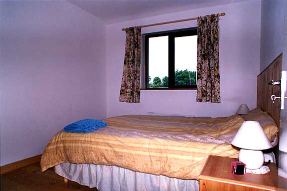 ankail1.jpg