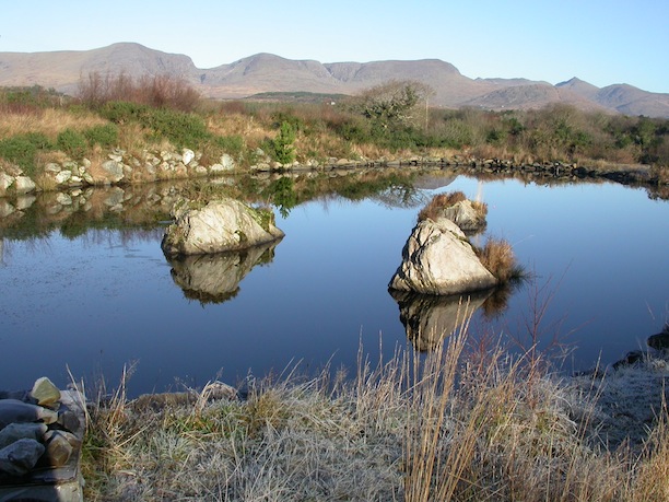 Trout Fishing Sneem