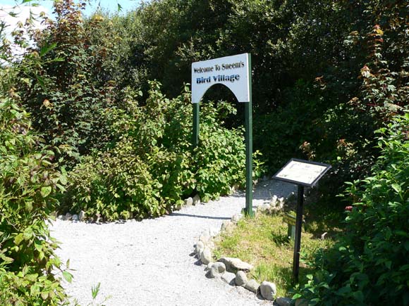 P1000791