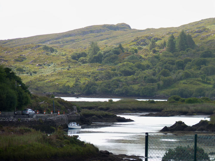 View from the rear window