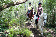 Horse Riding in Kerry