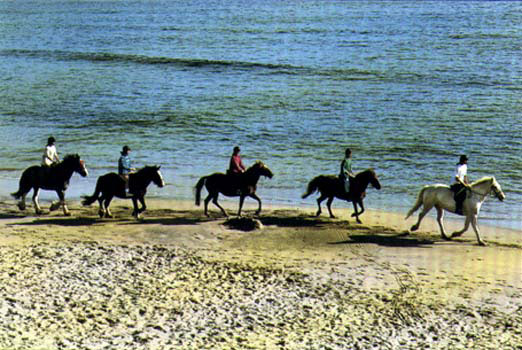 Horse Trekking in Ireland