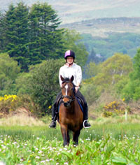 Horse Riding in kerry