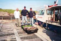 Fishing in Sneem